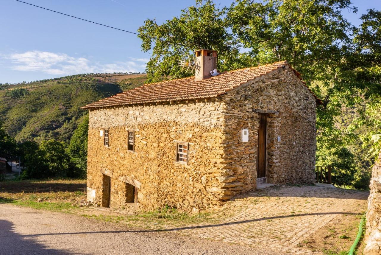 Casa da Corriça - Alojamento Local Negreda Extérieur photo
